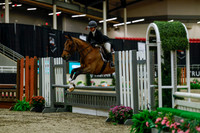 2025 - Haylee - Royal West - Saturday October 18th - 03787