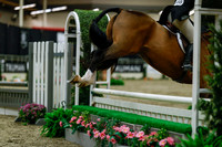 2025 - Haylee - Royal West - Saturday October 18th - 03791