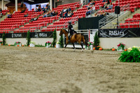 2025 - Haylee - Royal West - Saturday October 18th - 03790