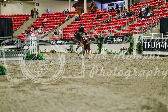 2025 - Haylee - Royal West - Saturday October 18th - 03825