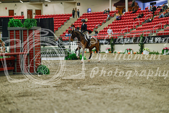 2025 - Haylee - Royal West - Saturday October 18th - 03828