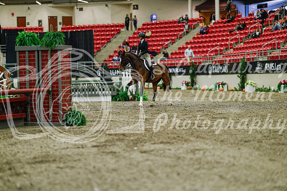 2025 - Haylee - Royal West - Saturday October 18th - 03829