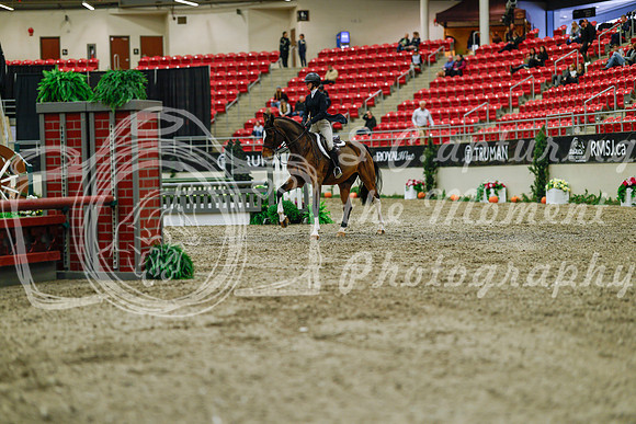 2025 - Haylee - Royal West - Saturday October 18th - 03830