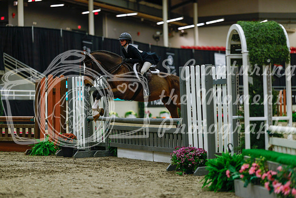 2025 - Haylee - Royal West - Saturday October 18th - 03832