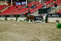 2025 - Haylee - Royal West - Saturday October 18th - 03834