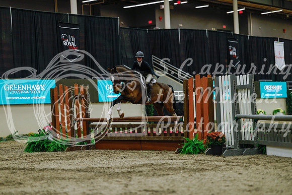 2025 - Haylee - Royal West - Saturday October 18th - 03837