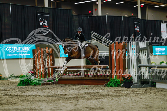 2025 - Haylee - Royal West - Saturday October 18th - 03839