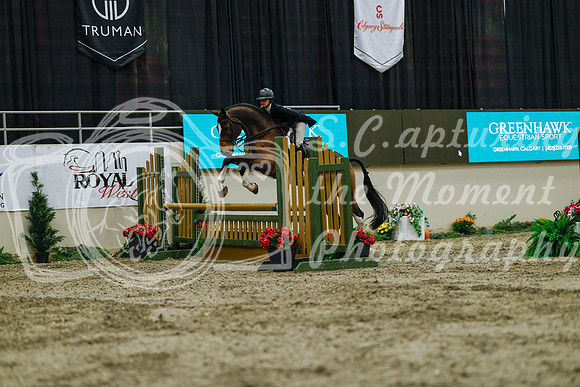 2025 - Haylee - Royal West - Saturday October 18th - 03843