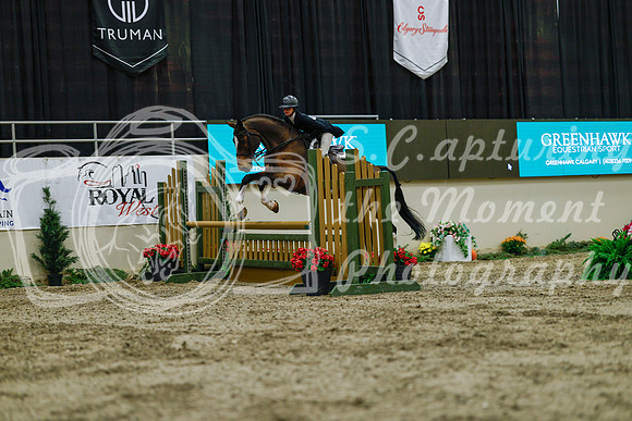 2025 - Haylee - Royal West - Saturday October 18th - 03844