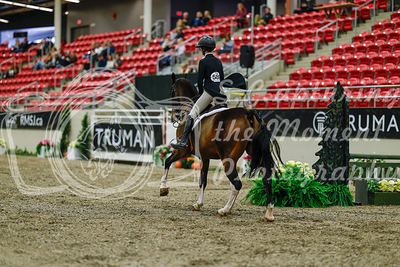 2025 - Haylee - Royal West - Saturday October 18th - 03851