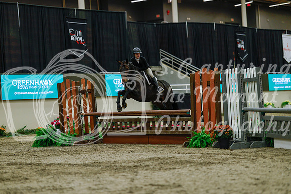 2025 - Haylee - Royal West - Saturday October 18th - 03859