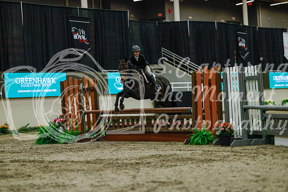 2025 - Haylee - Royal West - Saturday October 18th - 03860