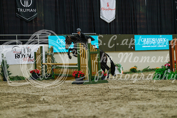 2025 - Haylee - Royal West - Saturday October 18th - 03862