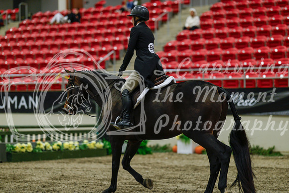 2025 - Haylee - Royal West - Saturday October 18th - 03870