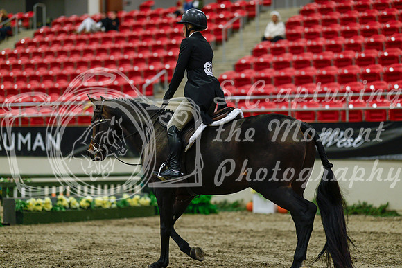 2025 - Haylee - Royal West - Saturday October 18th - 03871