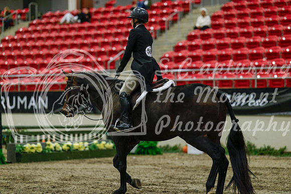 2025 - Haylee - Royal West - Saturday October 18th - 03872