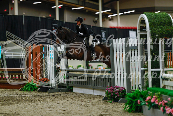 2025 - Haylee - Royal West - Saturday October 18th - 04284