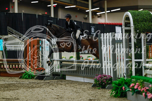 2025 - Haylee - Royal West - Saturday October 18th - 04285