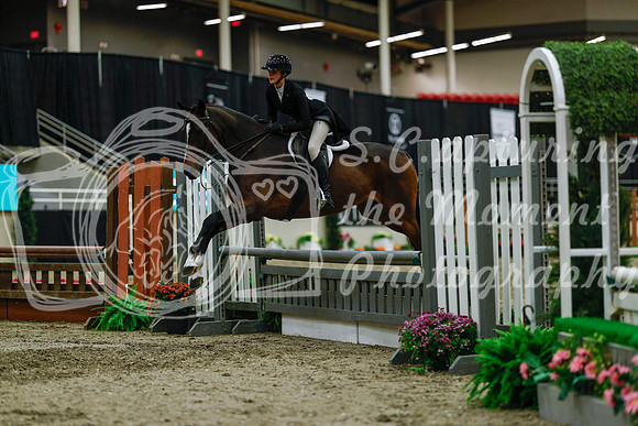 2025 - Haylee - Royal West - Saturday October 18th - 04286