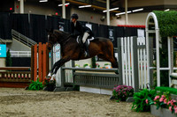 2025 - Haylee - Royal West - Saturday October 18th - 04287