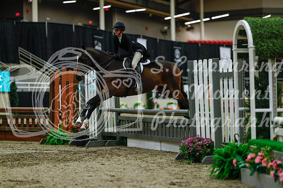 2025 - Haylee - Royal West - Saturday October 18th - 04287