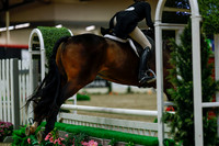 2025 - Haylee - Royal West - Saturday October 18th - 04291