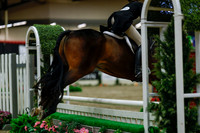 2025 - Haylee - Royal West - Saturday October 18th - 04292
