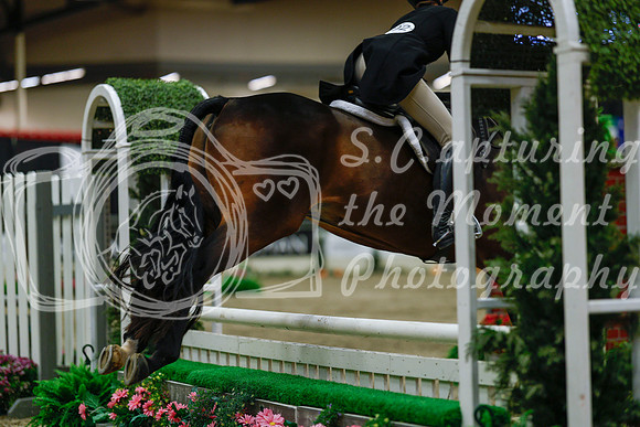 2025 - Haylee - Royal West - Saturday October 18th - 04292