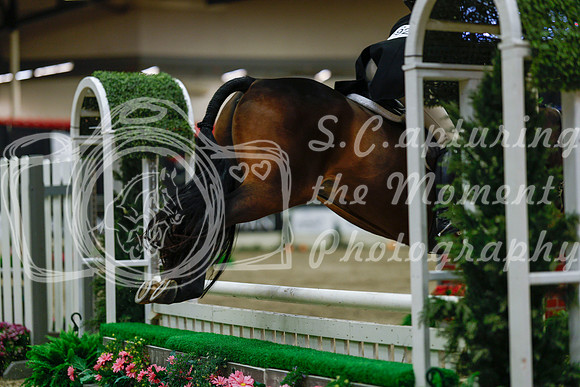 2025 - Haylee - Royal West - Saturday October 18th - 04294