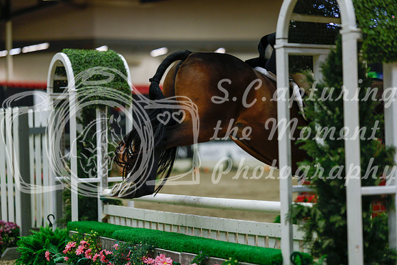 2025 - Haylee - Royal West - Saturday October 18th - 04295