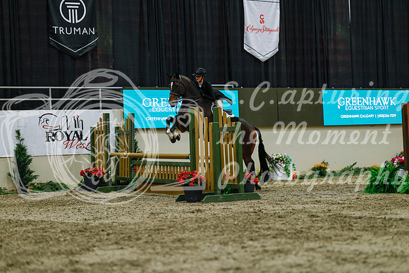 2025 - Haylee - Royal West - Saturday October 18th - 04309