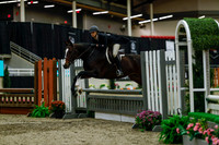 2025 - Haylee - Royal West - Saturday October 18th - 04330