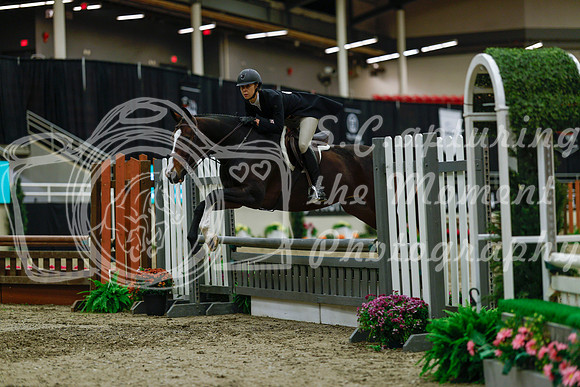 2025 - Haylee - Royal West - Saturday October 18th - 04330