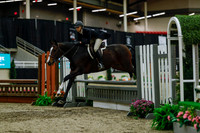 2025 - Haylee - Royal West - Saturday October 18th - 04333