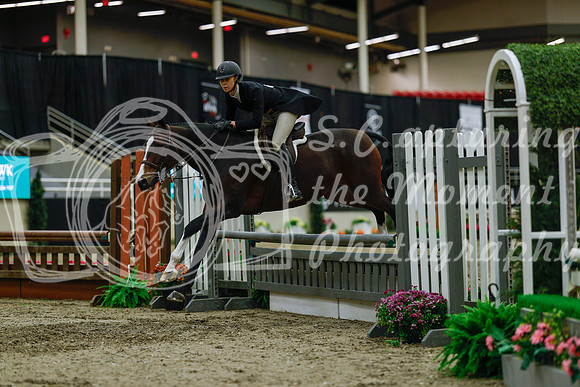2025 - Haylee - Royal West - Saturday October 18th - 04333