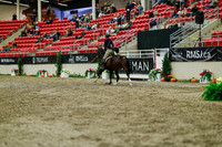 2025 - Haylee - Royal West - Saturday October 18th - 04334