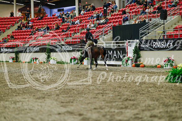 2025 - Haylee - Royal West - Saturday October 18th - 04334