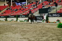 2025 - Haylee - Royal West - Saturday October 18th - 04335