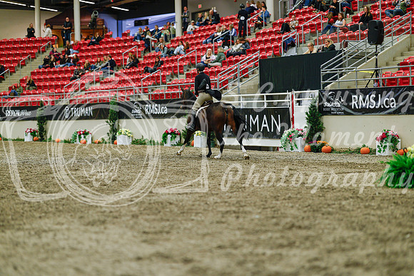 2025 - Haylee - Royal West - Saturday October 18th - 04335
