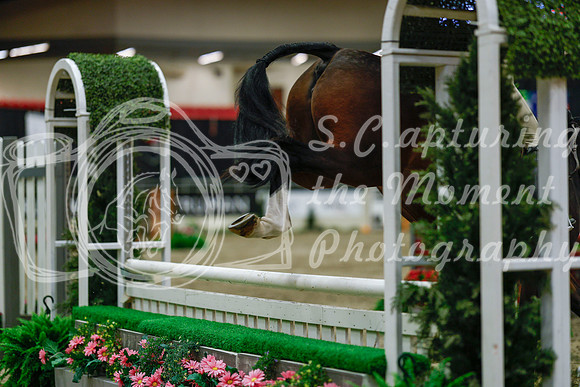 2025 - Haylee - Royal West - Saturday October 18th - 04339