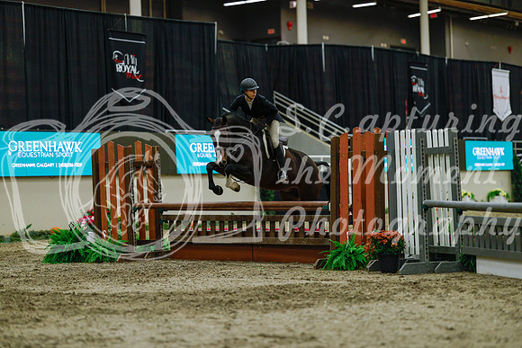 2025 - Haylee - Royal West - Saturday October 18th - 04341