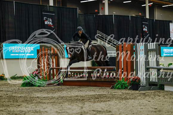 2025 - Haylee - Royal West - Saturday October 18th - 04346