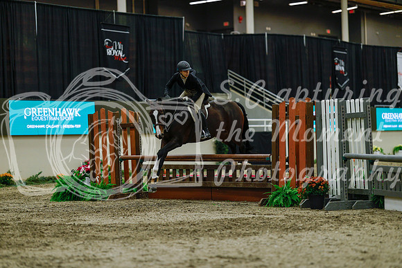 2025 - Haylee - Royal West - Saturday October 18th - 04347