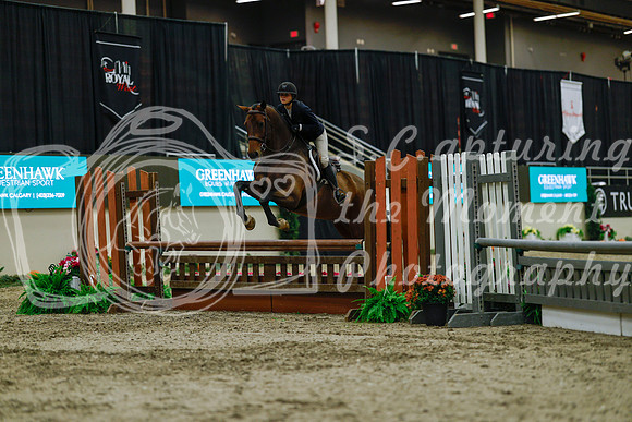 2025 - Haylee - Royal West - Saturday October 18th - 03887
