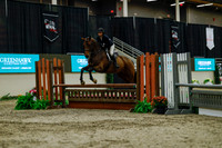 2025 - Haylee - Royal West - Saturday October 18th - 03890