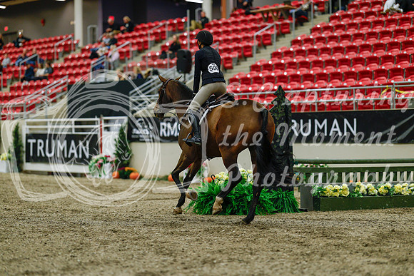 2025 - Haylee - Royal West - Saturday October 18th - 03902