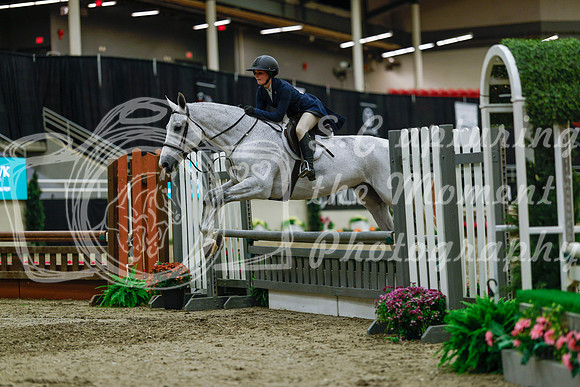 2025 - Haylee - Royal West - Saturday October 18th - 04474