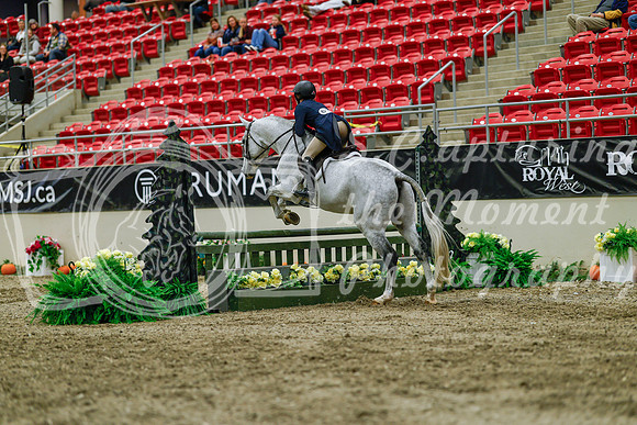 2025 - Haylee - Royal West - Saturday October 18th - 04479