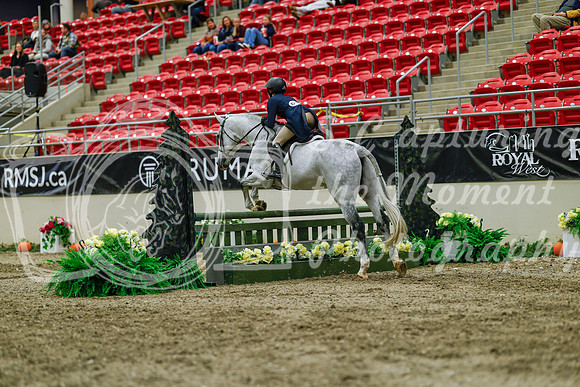 2025 - Haylee - Royal West - Saturday October 18th - 04481