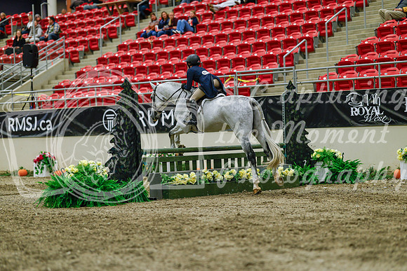 2025 - Haylee - Royal West - Saturday October 18th - 04482